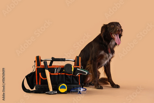 Cute dog with bag of tools ...