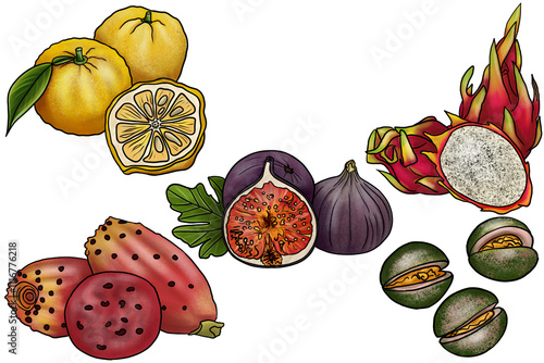 Exotic Fruit Set: Dragon Fruit, Fig, Yuzu, Indian Fig, Voavanga photo