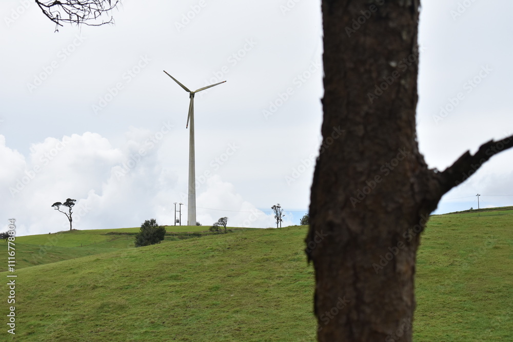 there is a tree that is standing in the grass near a wind turbine, a photo by Bholekar Srihari, tumblr, environmental art, turbines, wind turbines, very long shot of a windmill