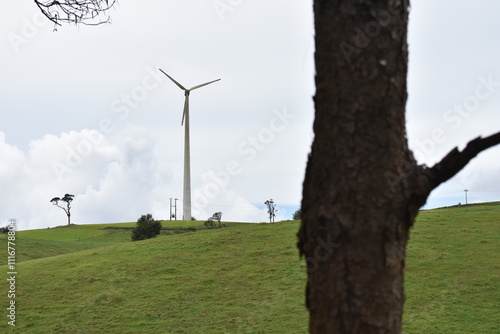 Obraz na płótnie there is a tree that is standing in the grass near a wind turbine, a photo by Bholekar Srihari, tumblr, environmental art, turbines, wind turbines, very long shot of a windmill w salonie