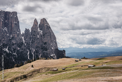 Nature and landscape - Alpe di Siusi, Dolomites, Italy.