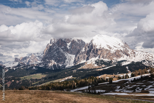 Nature and landscape - Alpe di Siusi, Dolomites, Italy.