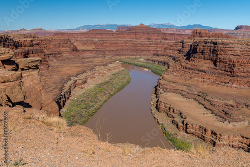 The Colorado river flowing at the bottom of the canyon seen from the Potash Road, near the Island in the Sky district of Canyonlands National Park