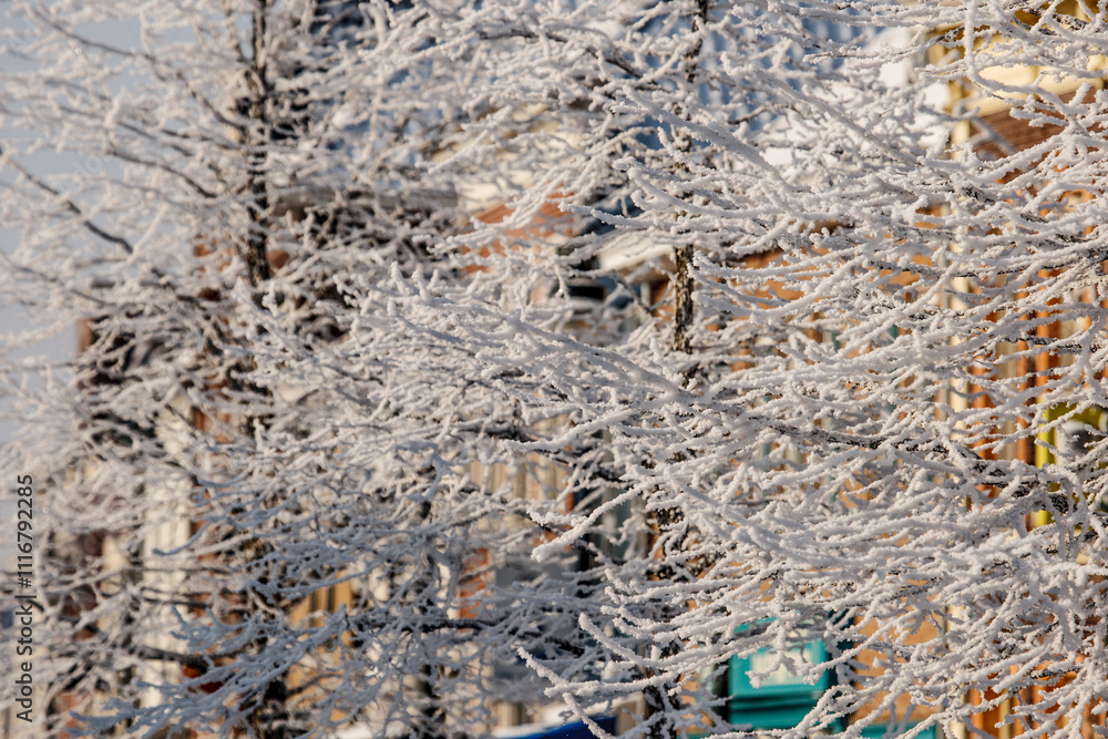 Fototapeta premium Snow-covered branches create a winter wonderland in a city street with buildings in the background during a clear day