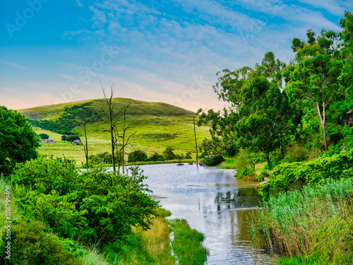 Lush green foliage, trees, and hills surrounding a lake in Wakkerstroom, Mpumalanga, South Africa photo