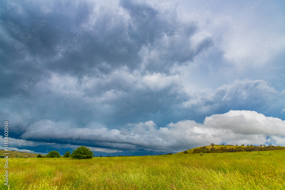 Stormy skies over the rural countryside with strong wind gusts Stormy skies over the rural countryside with strong wind gusts