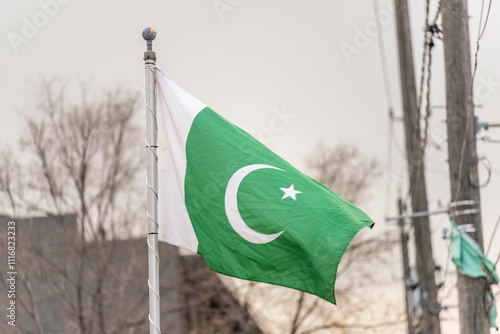 Schilderij op canvas Pakistani flag