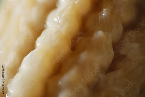 Macro texture of rotten baby corn kept in fridge more than month.  photo