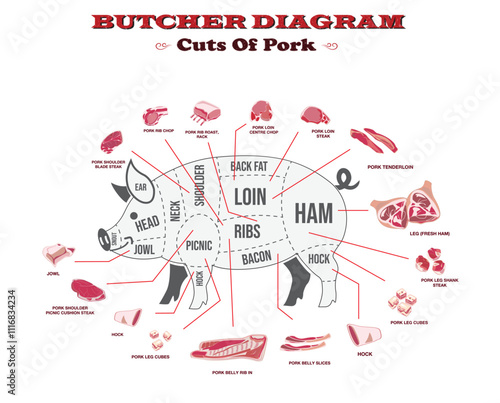 Set illustration of Butcher Diagram of Pork Cuts  