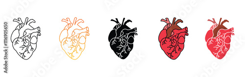 Heart
