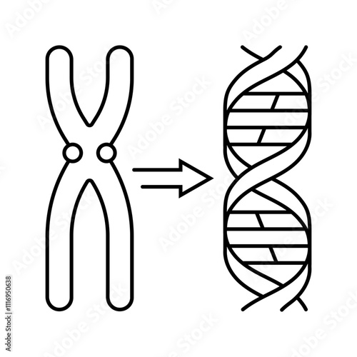 gene genetic engineering line icon vector. gene genetic engineering sign. isolated contour symbol black illustration