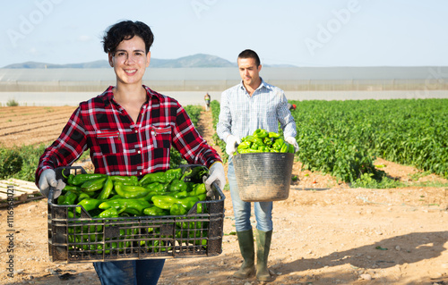 Cheerful latin woman farmer holding crate full of green pepper crop. Harves work on vegetable field. photo