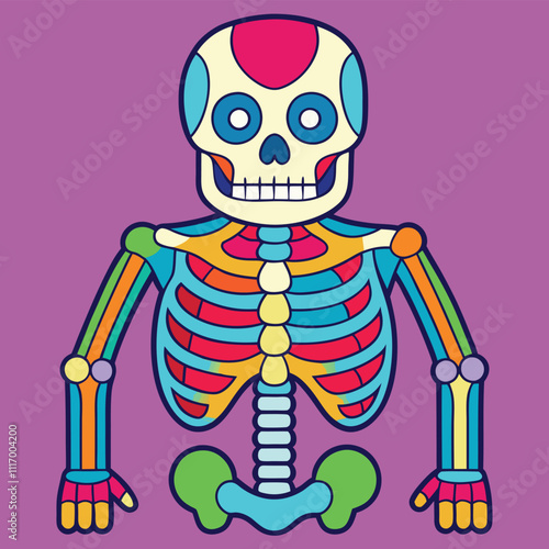 Detailed Skeleton Illustration for Educational Coloring