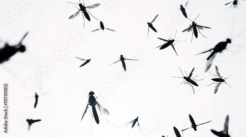 Flying Mosquitoes on White Background, Small Insects in Mid-air, Creating a Simple yet Intriguing Visual Scene.