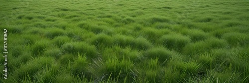 A vast expanse of emerald-green grass stretching out as far as the eye can see, agricultural land, emerald green field photo