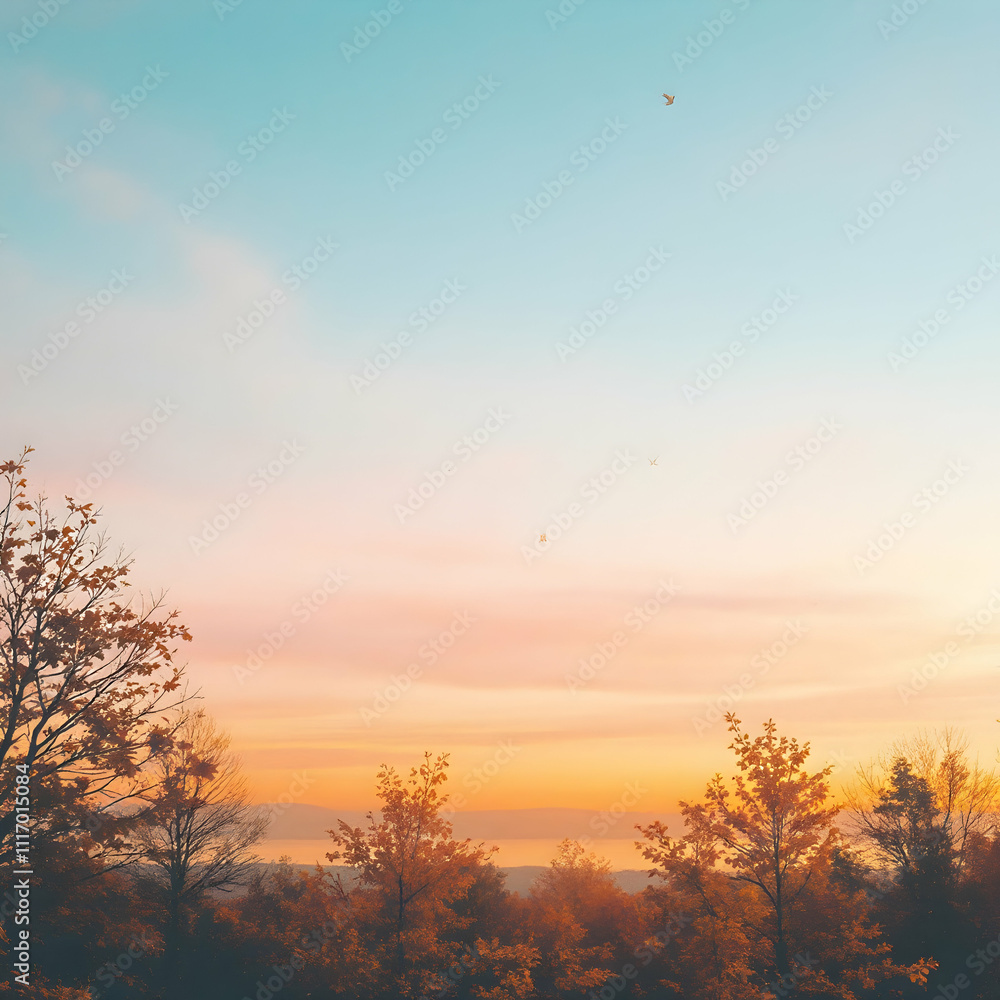 Fototapeta premium 가을