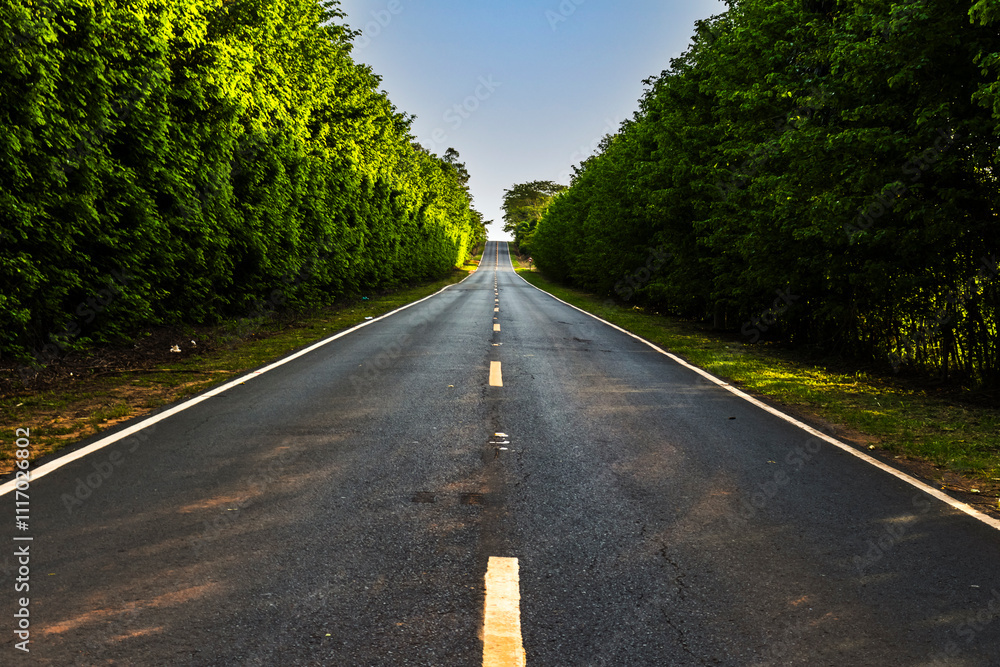 Empty asphalt roadway in rural area in Brazil Empty asphalt roadway in rural area in Brazil