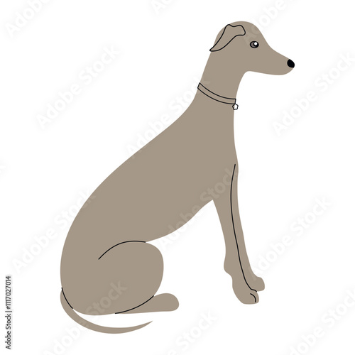 greyhound dog sitting side view