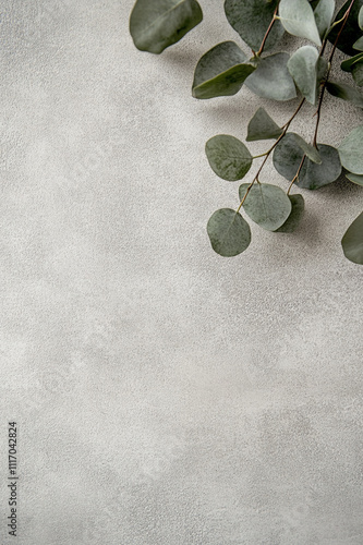 Minimalist Eucalyptus Branch on Gray Concrete Background photo