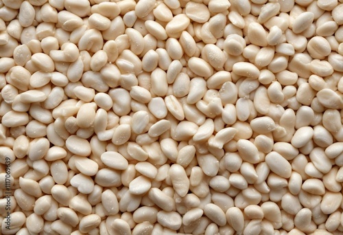 High-magnification image of white sesame seeds on a white background with subtle light effect , texture, sesame seeds, grain