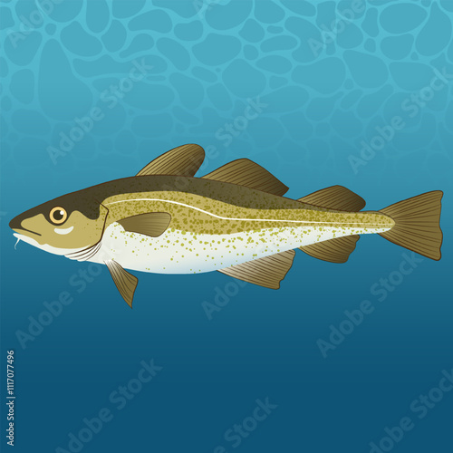 Atlantic Cod Fish