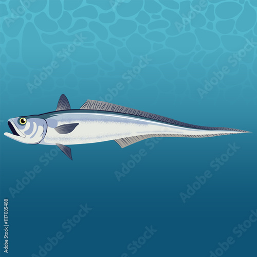 Hoki Fish