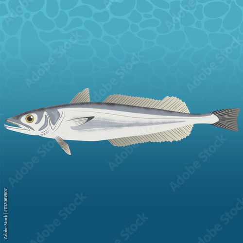 Merluccius Capensis Fish