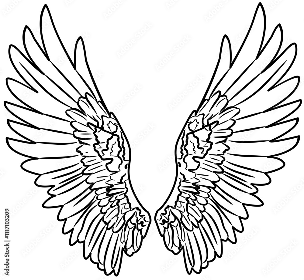 Obraz premium Angel Wings outline