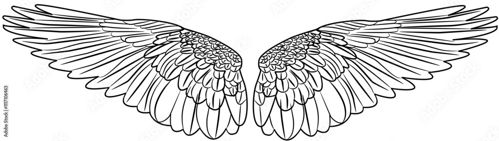 Obraz premium Angel Wings outline