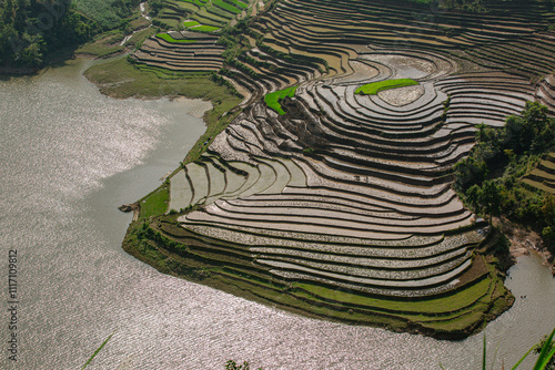 Wallpaper Mural Plowing the fields for the new rice crop in Bat Xat,Lao Cai, this is manual and hard work. Photo taken in Lao Cai ,Vietnam. Torontodigital.ca