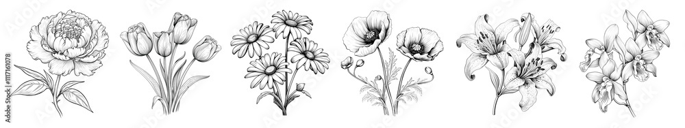 Obraz premium PNG Line art flower set on transparent background