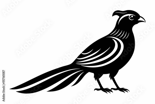 Hispaniolan Trogon birds vector silhouette,Resplendent Quetzal Silhouette vector illustration, Resplendent Quetzal Silhouette.