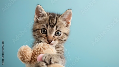 Kitten pouncing on a soft plush toy on blue background photo