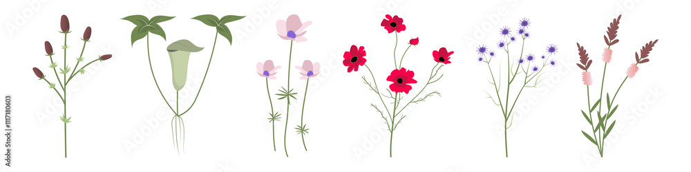 PNG Wild flower set on transparent background PNG Wild flower set on transparent background