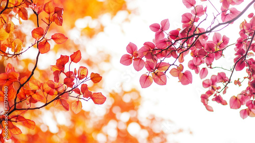 Autumn Leaves Pink and Orange Foliage Bright Background