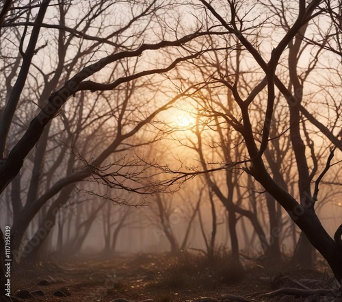 The last rays of sunlight filter through bare branches, sunset, atmospheric effect, golden tones