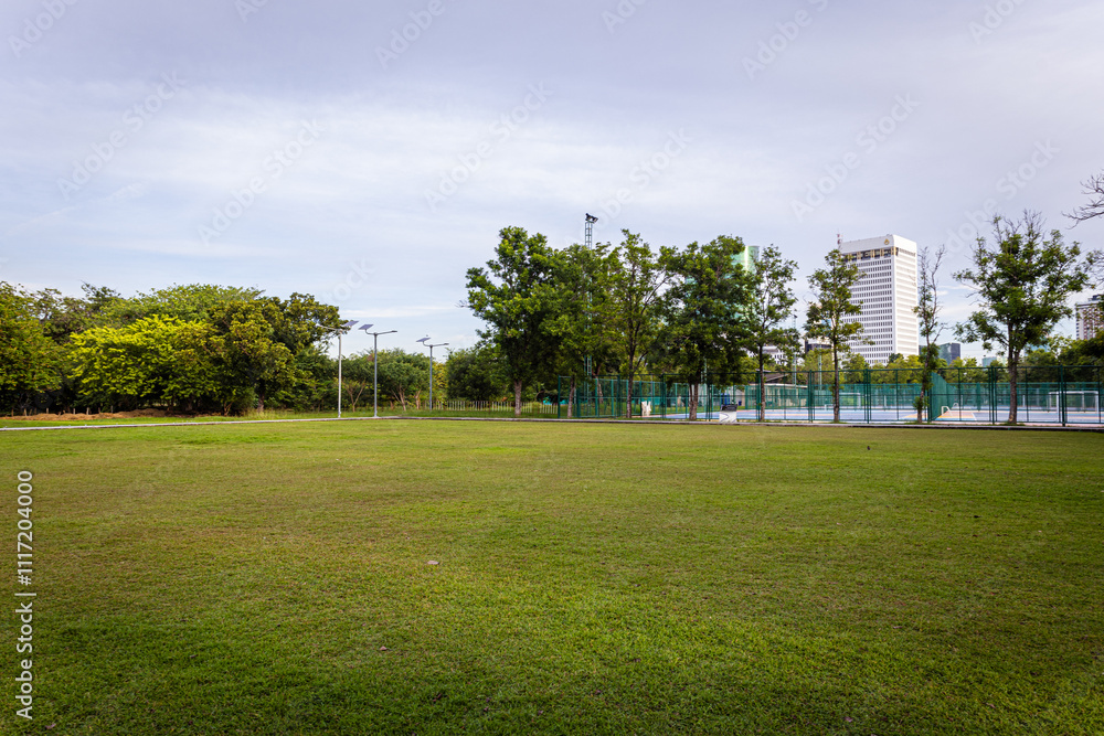 Green meadow grass in city public tree park green scene Green meadow grass in city public tree park green scene
