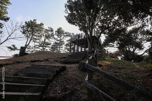 산 정상을 올라가는 숲 길 제주 서귀포시 성산읍 오조리 식산봉 photo