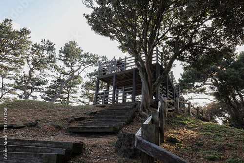 산 정상을 올라가는 숲 길 제주 서귀포시 성산읍 오조리 식산봉 photo