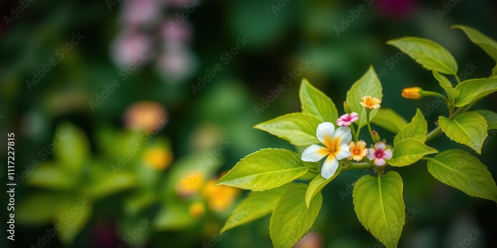 Vibrant soft green leaves with colorful flowers against a blurred nature background, flowers, vibrant, summer Vibrant soft green leaves with colorful flowers against a blurred nature background, flowers, vibrant, summer