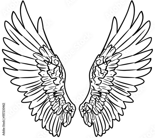 Angel Wings coloring with white color