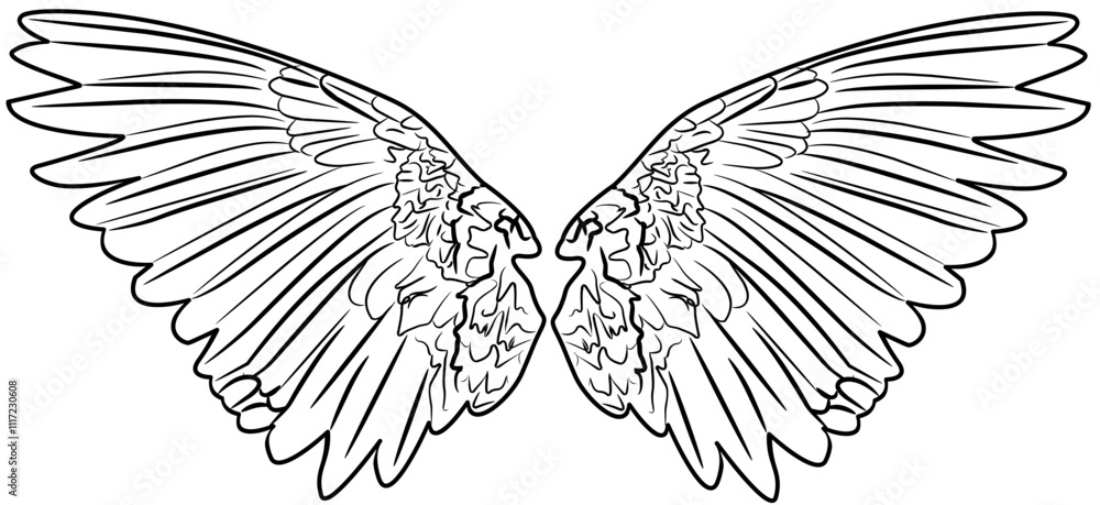 Obraz premium Angel Wings coloring with white color