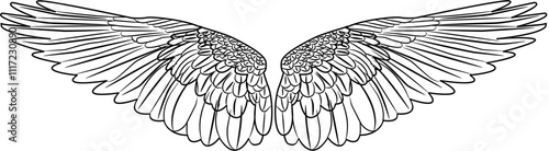 Angel Wings coloring with white color