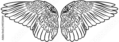 Angel Wings coloring with white color