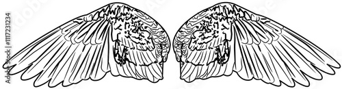 Angel Wings coloring with white color