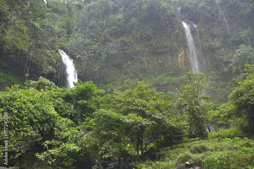 a waterfall that comes out of a rock cliff in the middle of a green forest