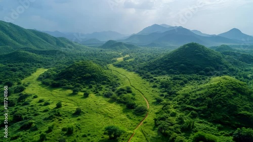 A lush, green landscape emerging from a previously barren land, thanks to dedicated reforestation and regreening initiatives by local communities. VDO 4k ProRes photo