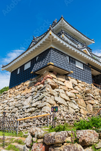 天下の出世城として有名な浜松城 photo