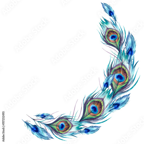 Peacock feathers round frame. The illustration is hand-drawn, executed in watercolor. A beautiful bright multicolored Phoenix bird feather on a white background. Asian, Indian, Japanese ornament photo