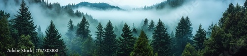 The serene ambiance of a misty morning envelops the lush pine trees.